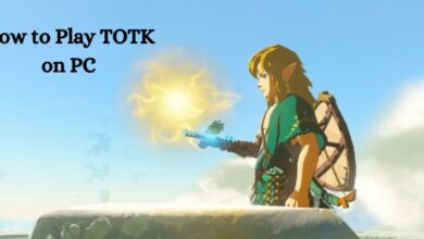 How to Play TOTK on PC Through