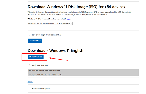 Windows 11 ISO Download ready