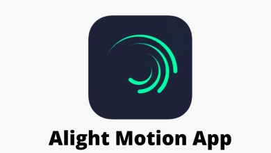 Alight Motion