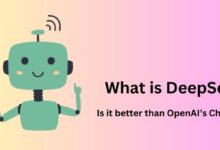 What is DeepSeek