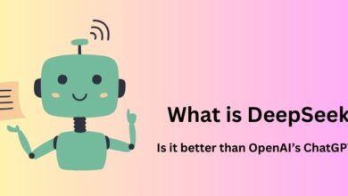 What is DeepSeek