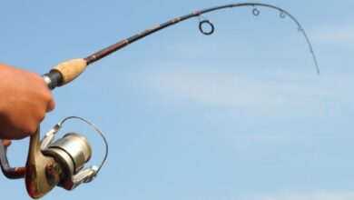 Best Fishing Rods