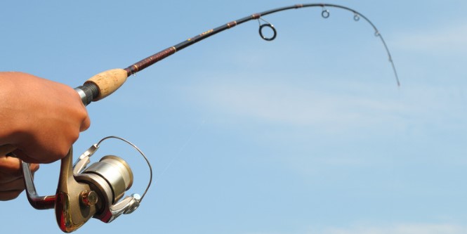 Best Fishing Rods